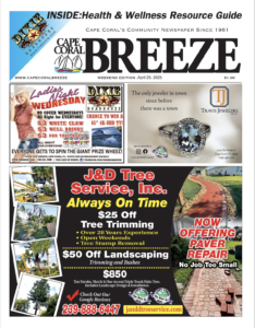 article image - 